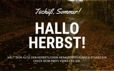 Autofahren im Herbst